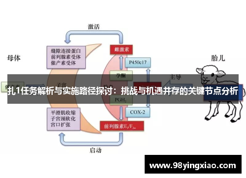 扎1任务解析与实施路径探讨：挑战与机遇并存的关键节点分析